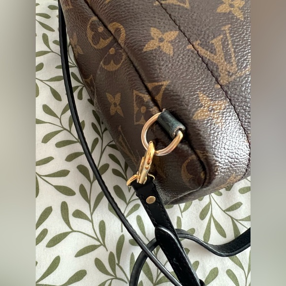 Louis Vuitton Palm Springs Mini - Picture 7 of 12